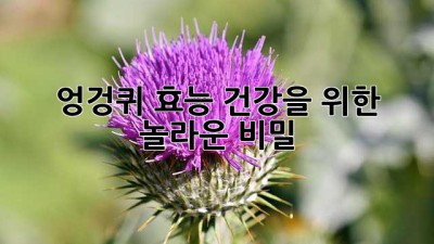 엉겅퀴 효능: 건강을 위한 놀라운 비밀