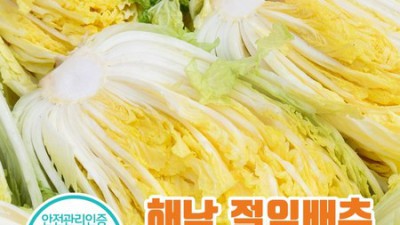 놓치면 후회! 전라도새우젓 아삭김치 솔직 후기 & 할인 꿀팁 😋